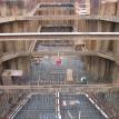 Sheet Pile Shoring